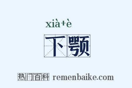 下颚是什么意思的图片